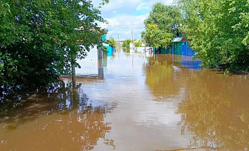 В Челябинской области из-за паводка подтоплены более 320 домов