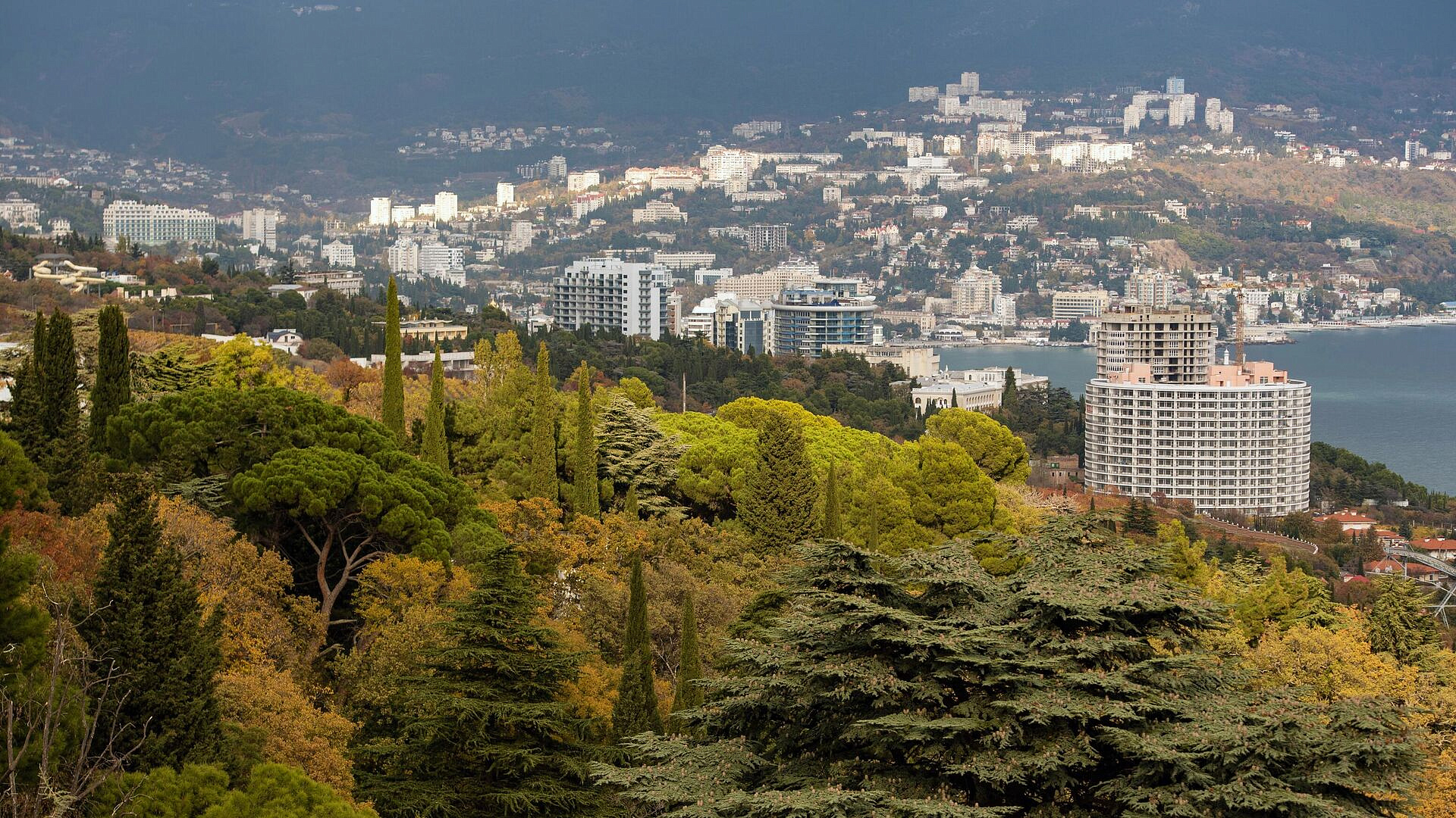 ��� ������� ����� ������� ����� �� ����������� ��-�� �������������