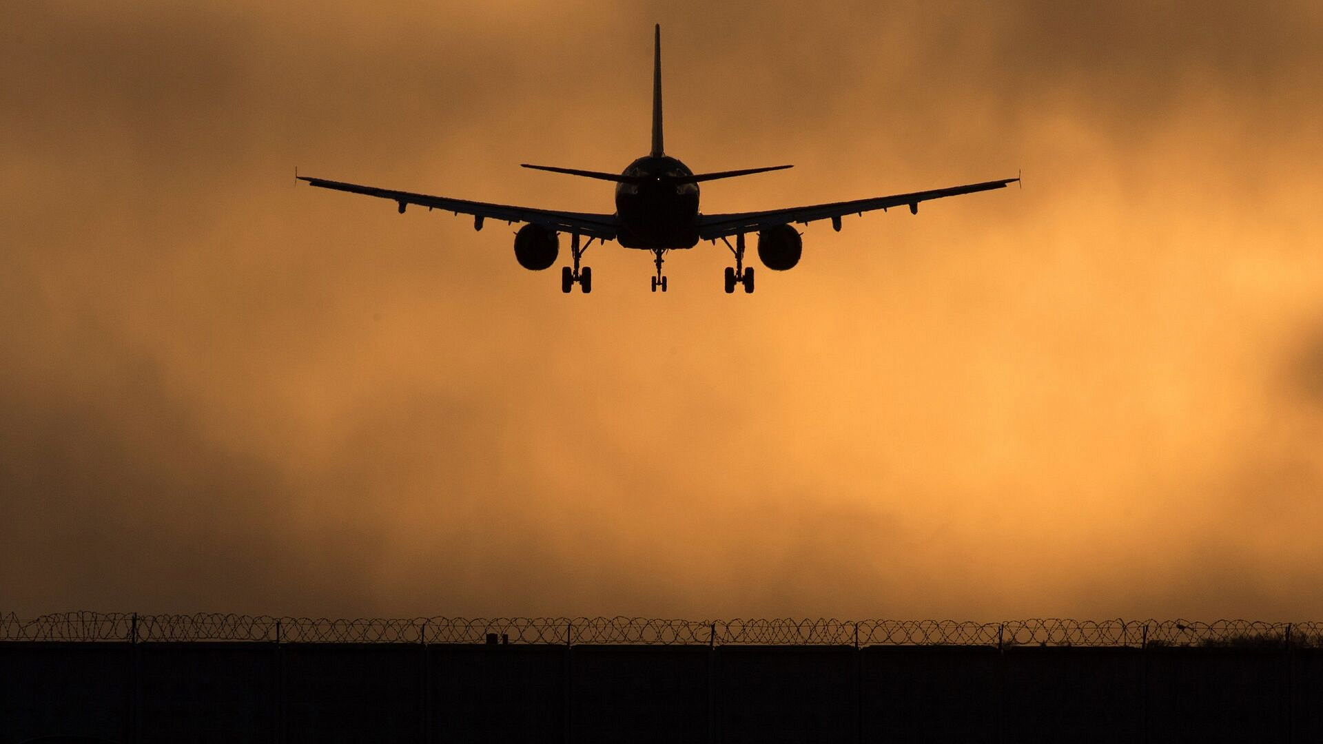 Рейс из Владивостока в Москву отменили из-за столкновения с птицами