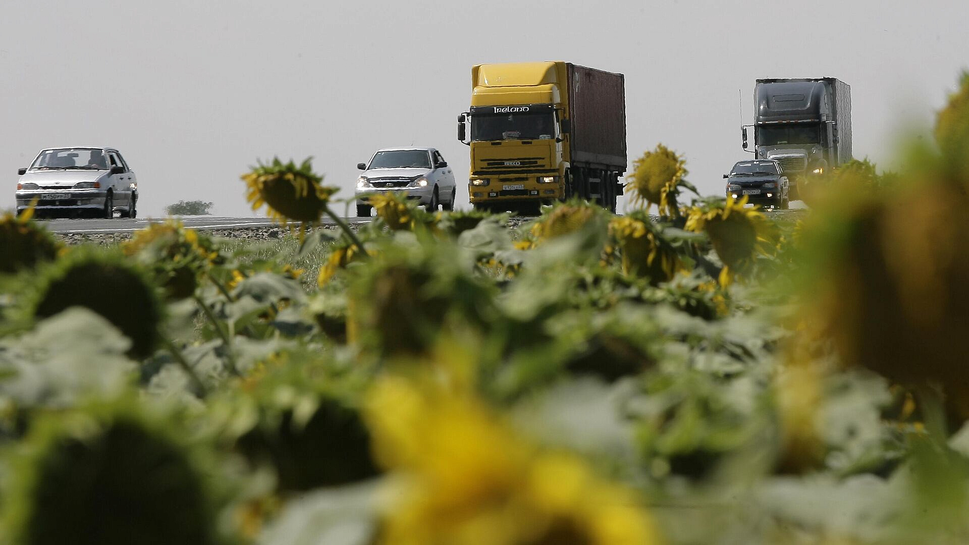 ������ ������������ 4,8 �������� ���� ������������� ����� ������� �������