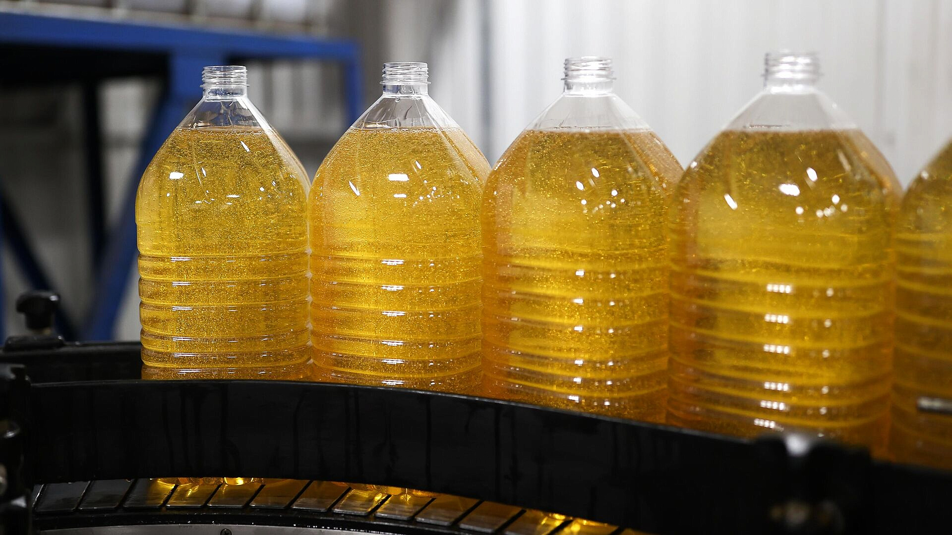 Цены на растительное масло в мире достигли максимума с июля 2022 года