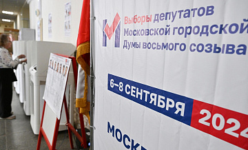 Общественный штаб в Москве рассмотрел около ста жалоб с участков