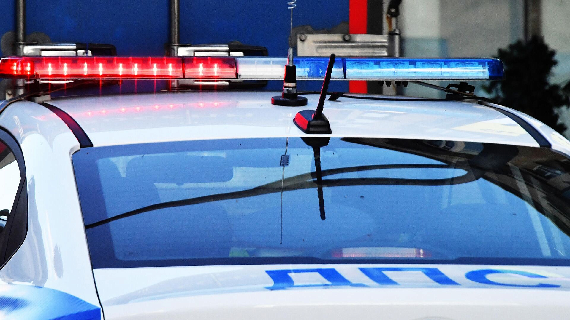 � ������ ��������� ��� �� ���������� �����