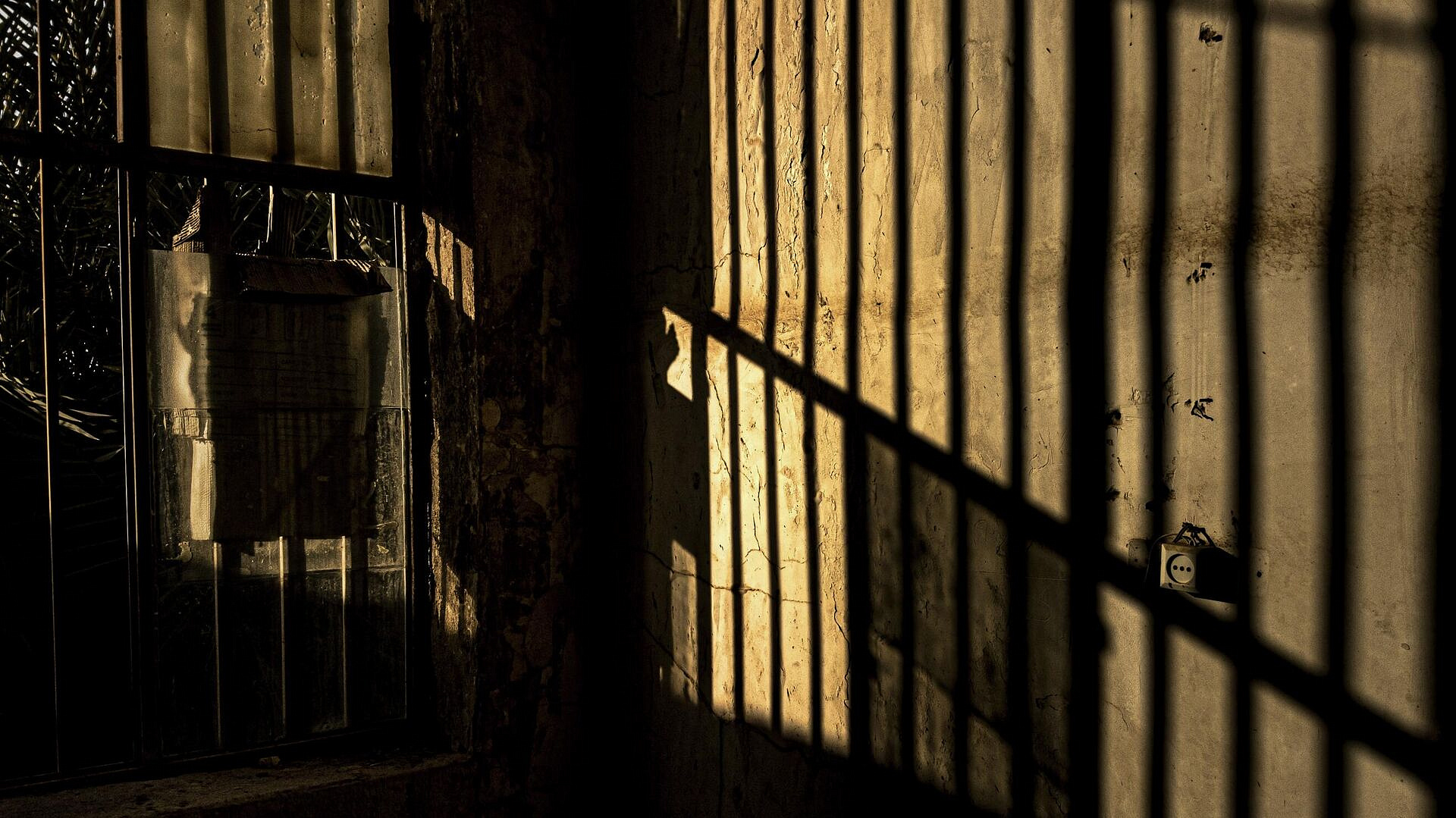 � ������ ���������� ���������, ������������� ���������� "����� ������"