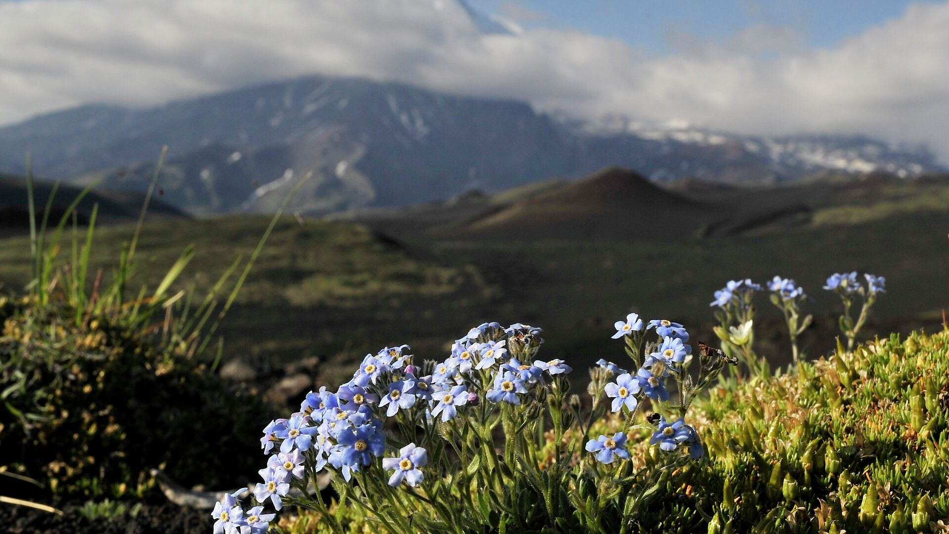 �� �������� ��� ����������� �� ���� ����� ������