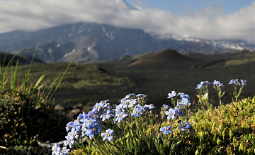 На Камчатке при восхождении на гору погиб турист