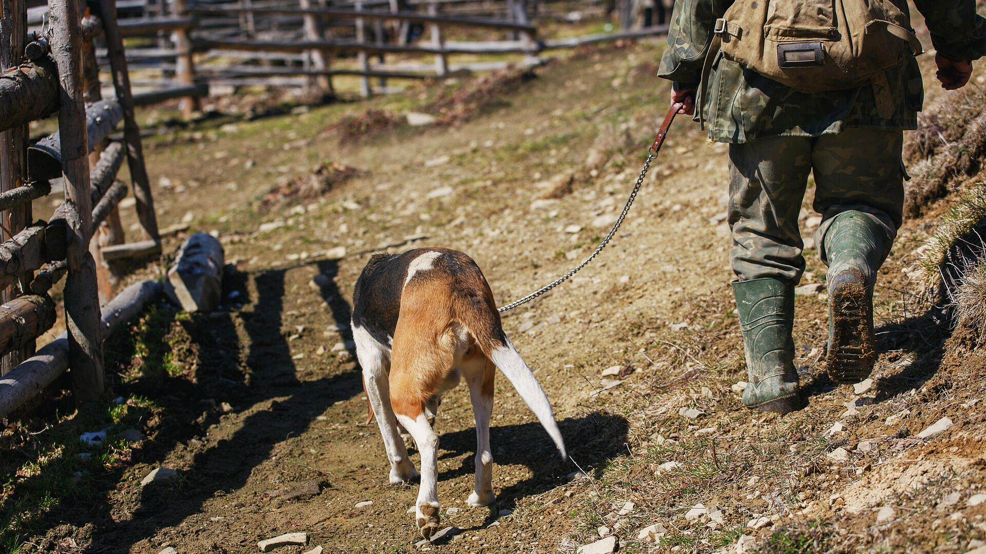 �������� �������� �������������� � ��������� ��������