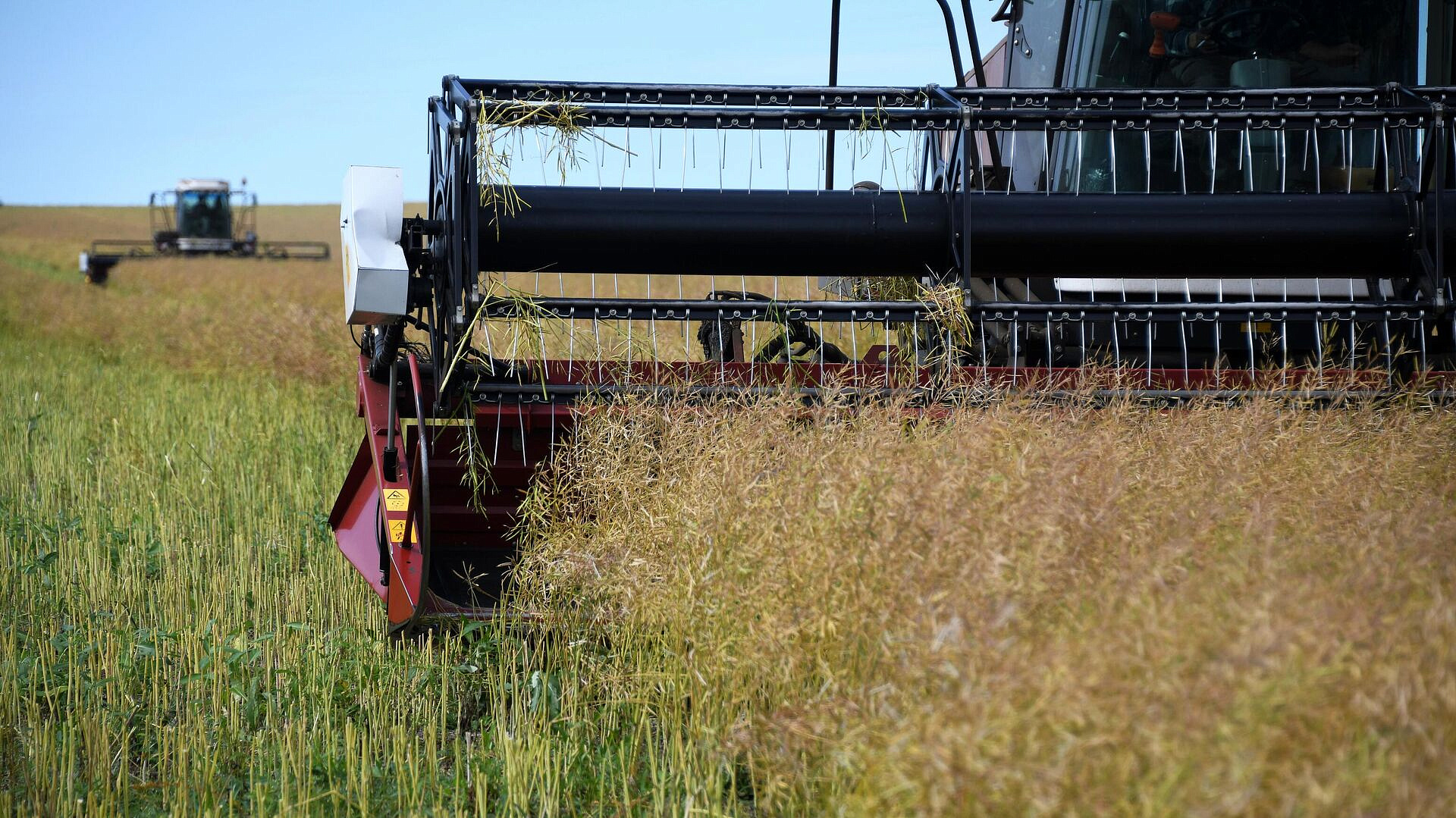 ���������������� ������� ���� � ���������������������, ������� �������