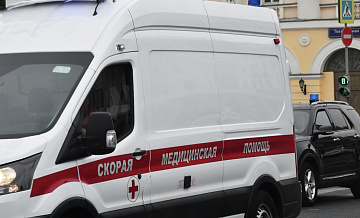 На юго-востоке Москвы на машину упало дерево
