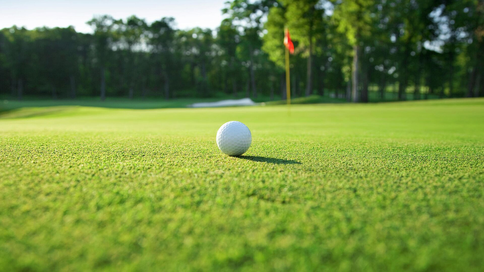 Trump Organization     -  