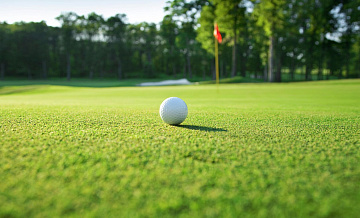 Trump Organization ��������� ������� ���������� � �����-���� �� ��������