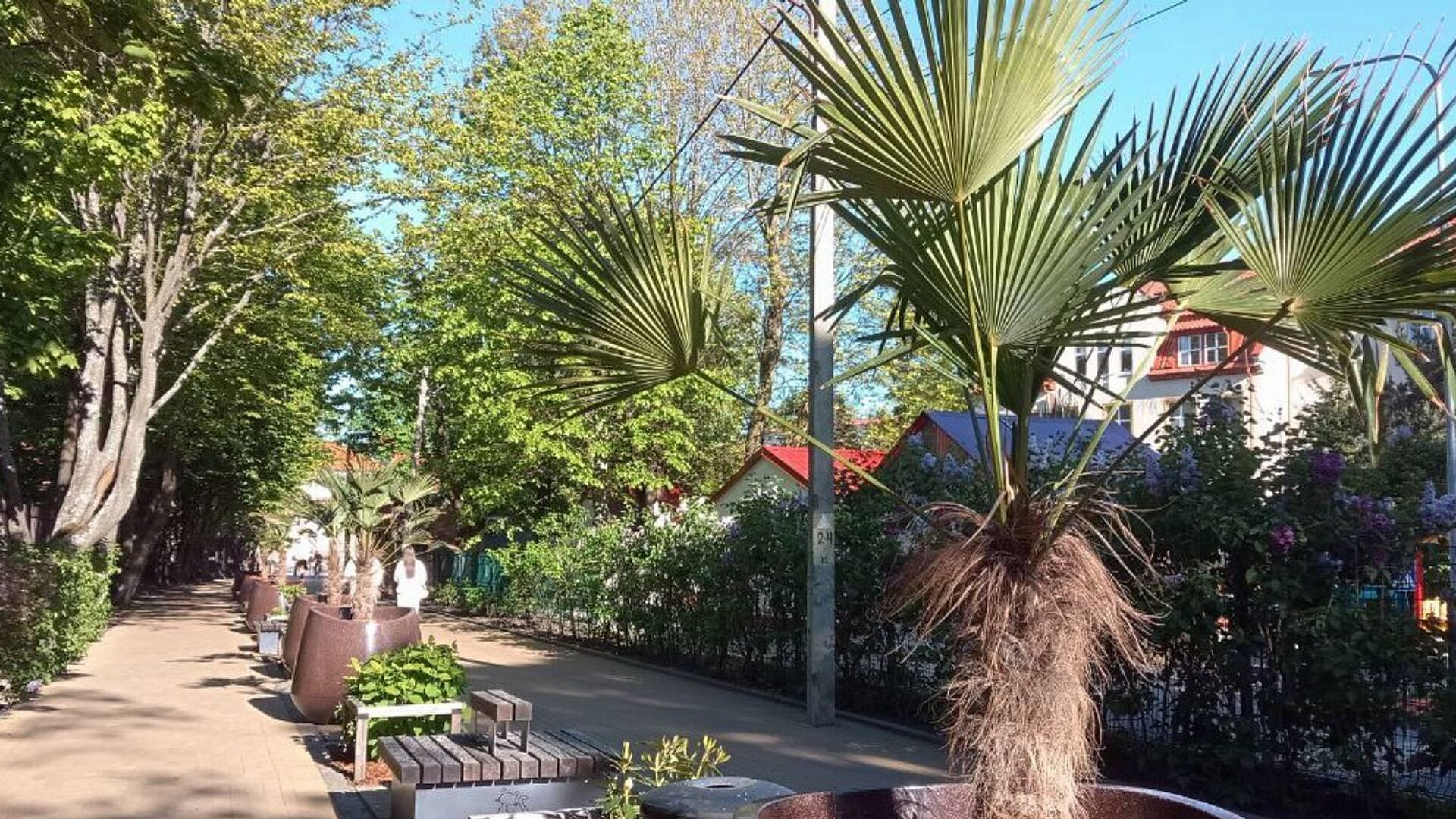 ��� ������������� �������� ����� �� ������������� ����� 