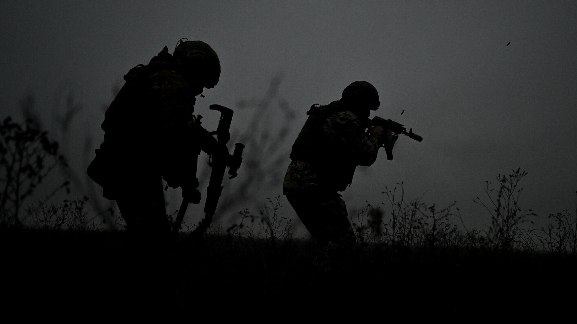 ВС России освободили Великую Новоселку в ДНР