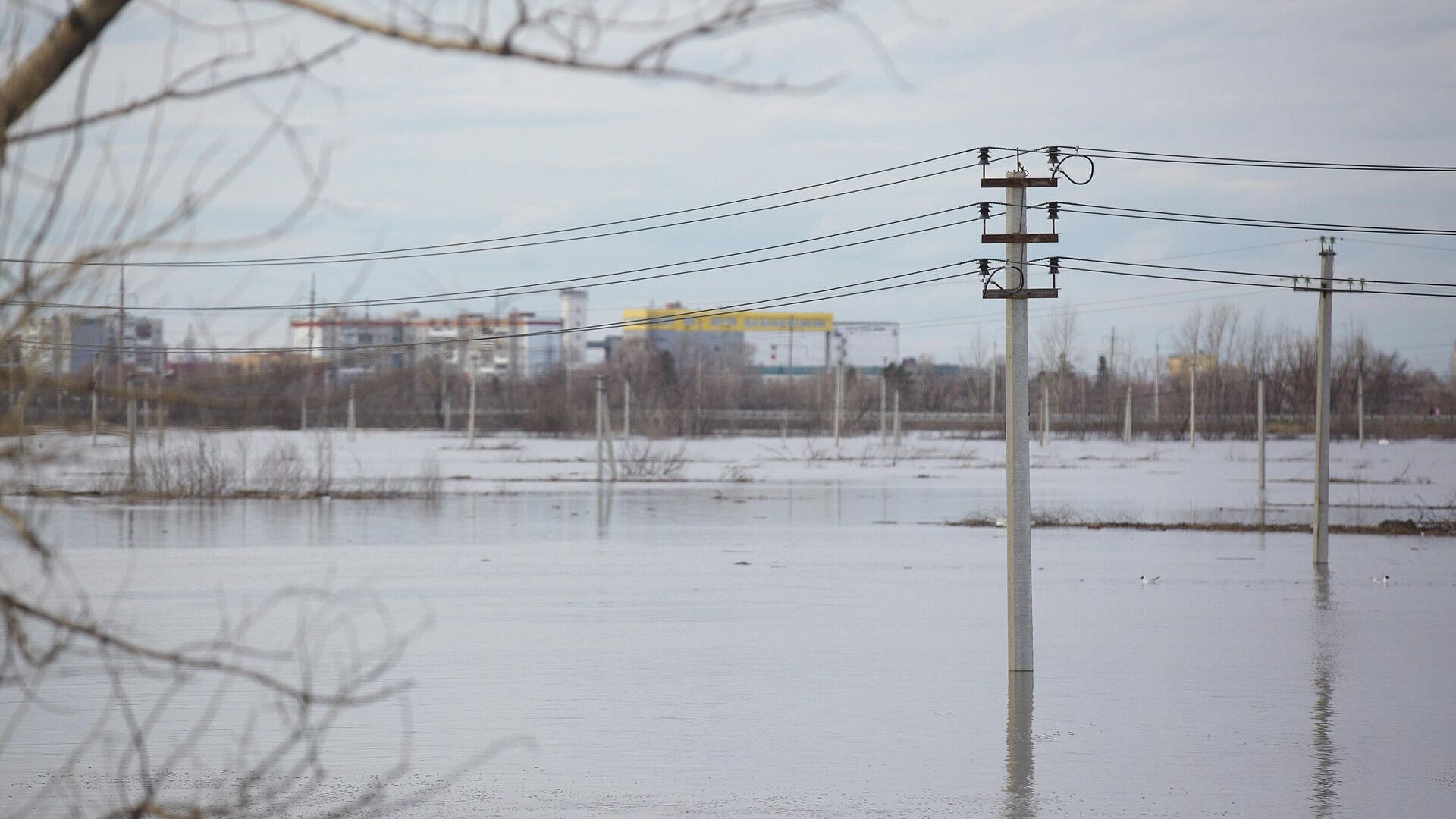 ������ ���������� ��������� � ������� ����� � ���� ������� �������