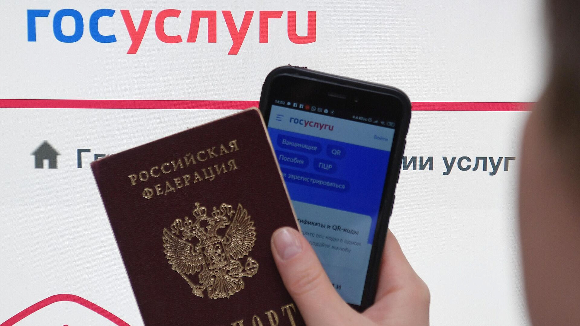 На "Госуслугах" зарегистрировано более 115 миллионов учетных записей