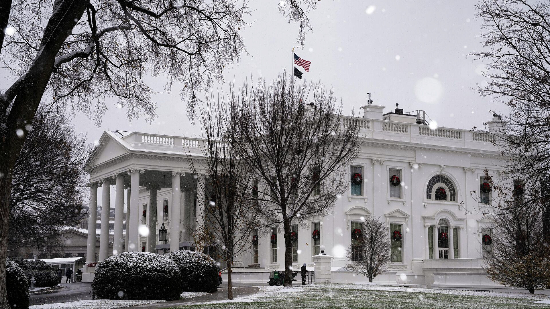 � ����� ���� ���������� �� ������� ������, �������� � ������� �� �������