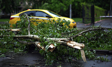 В Подмосковье из-за непогоды пострадали семь машин
