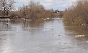Уровень воды в реке Тобол в Ялуторовске впервые снизился на 1 сантиметр