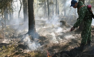 На Ямале тушат вновь вспыхнувшие лесные пожары