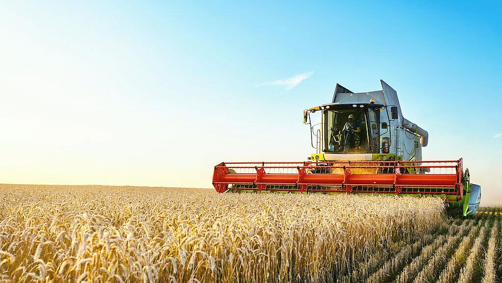 Россия в марте втрое нарастила поставки пшеницы в Грузию