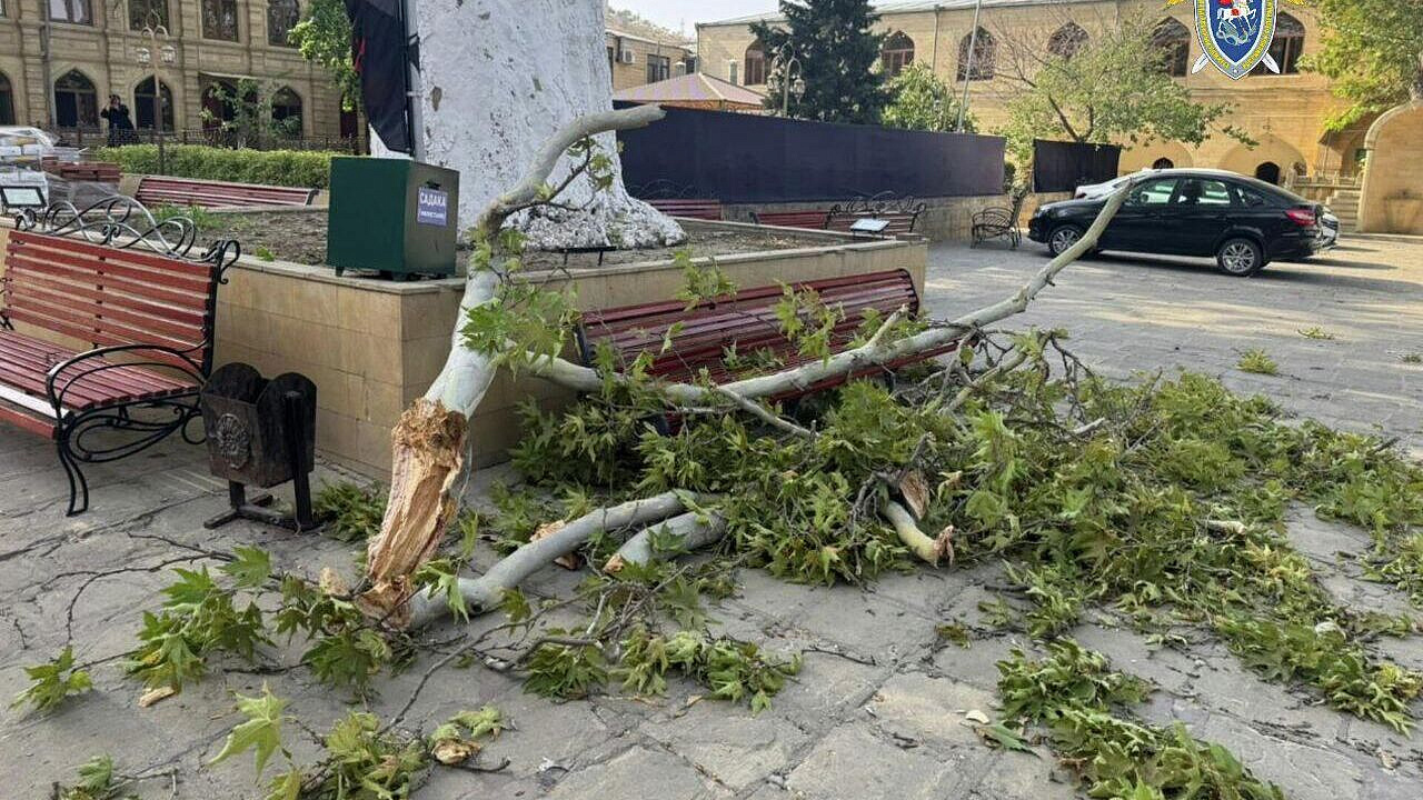 � �������� ���������� �������� ��������, �������� ��-�� ������� ������