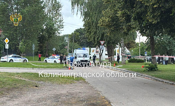 В Калининграде задержали водителя, сбившего на тротуаре женщину с детьми