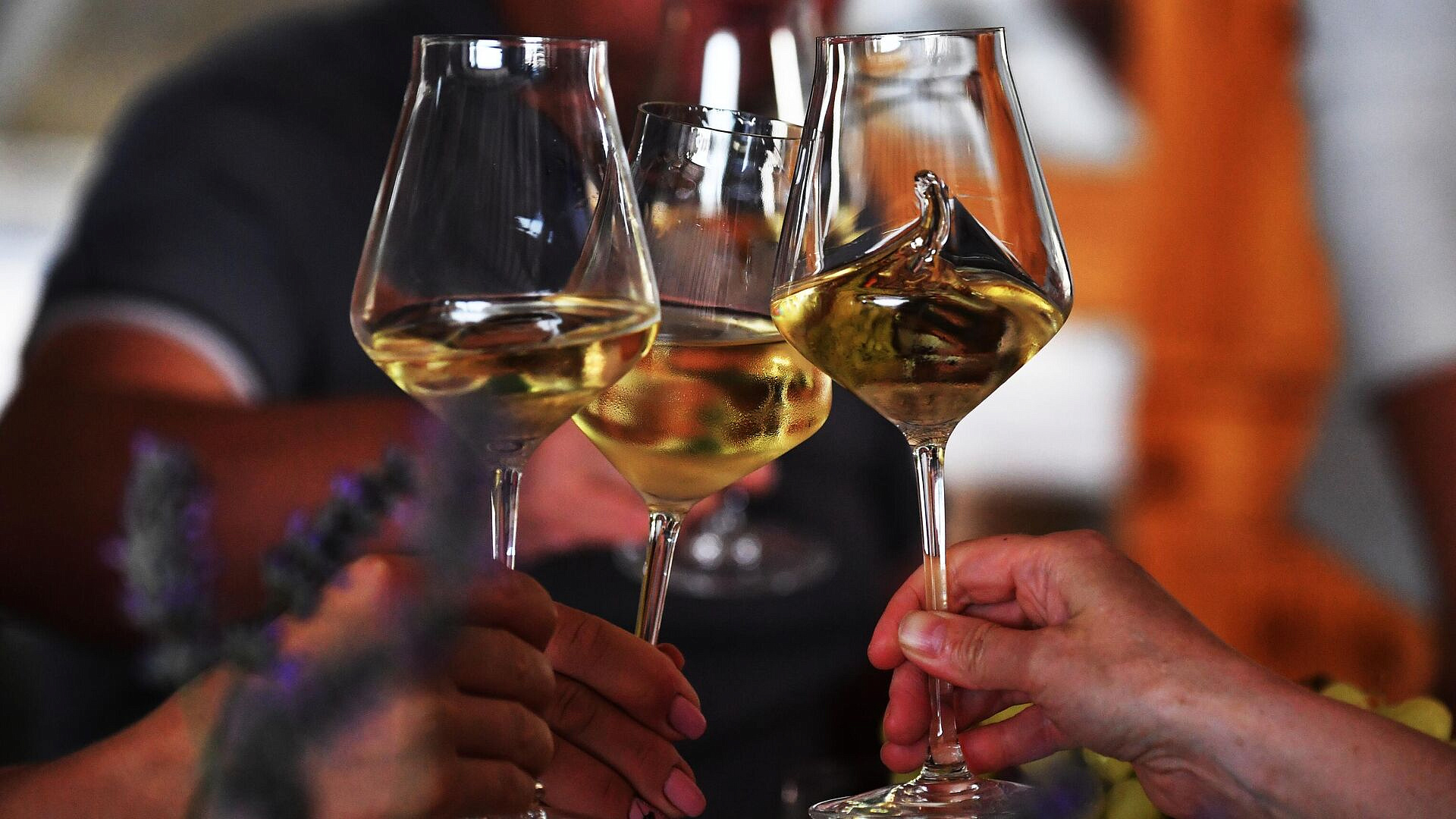 Winepark Fest � ����� �������� ����� 2,5 ������ ������