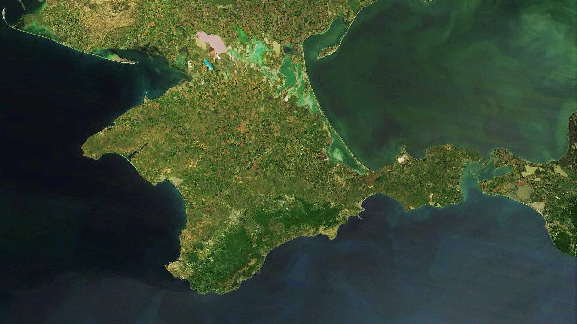 Медведев и Медведчук раскритиковали Гутерреша за слова о Крыме