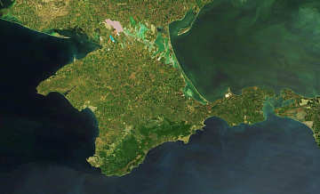 Медведев и Медведчук раскритиковали Гутерреша за слова о Крыме