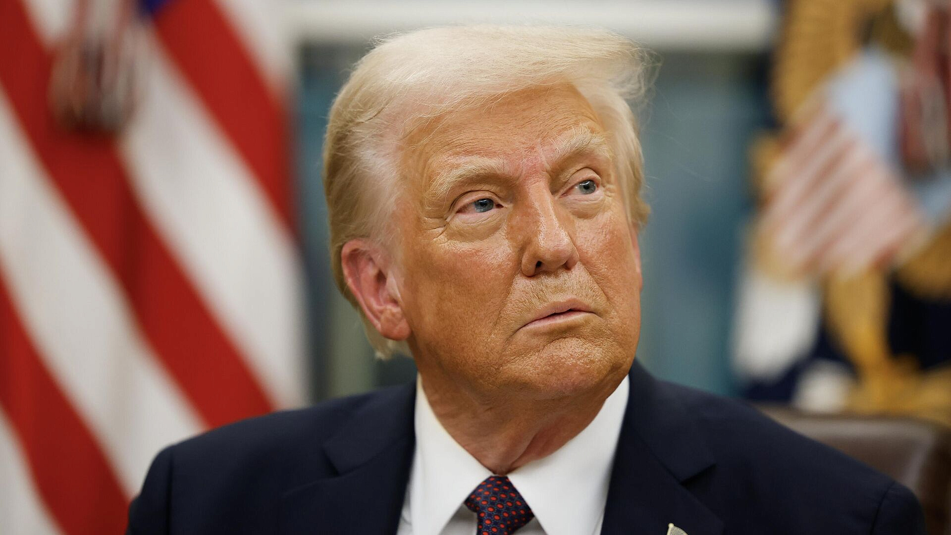 В НАТО придумали, что предложить Трампу вместо Гренландии