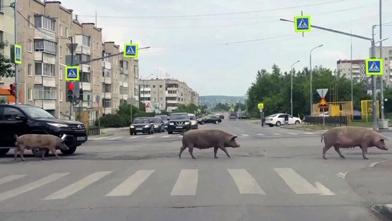 ������ ������ �� ���������� �� ����� ��������� �� �������