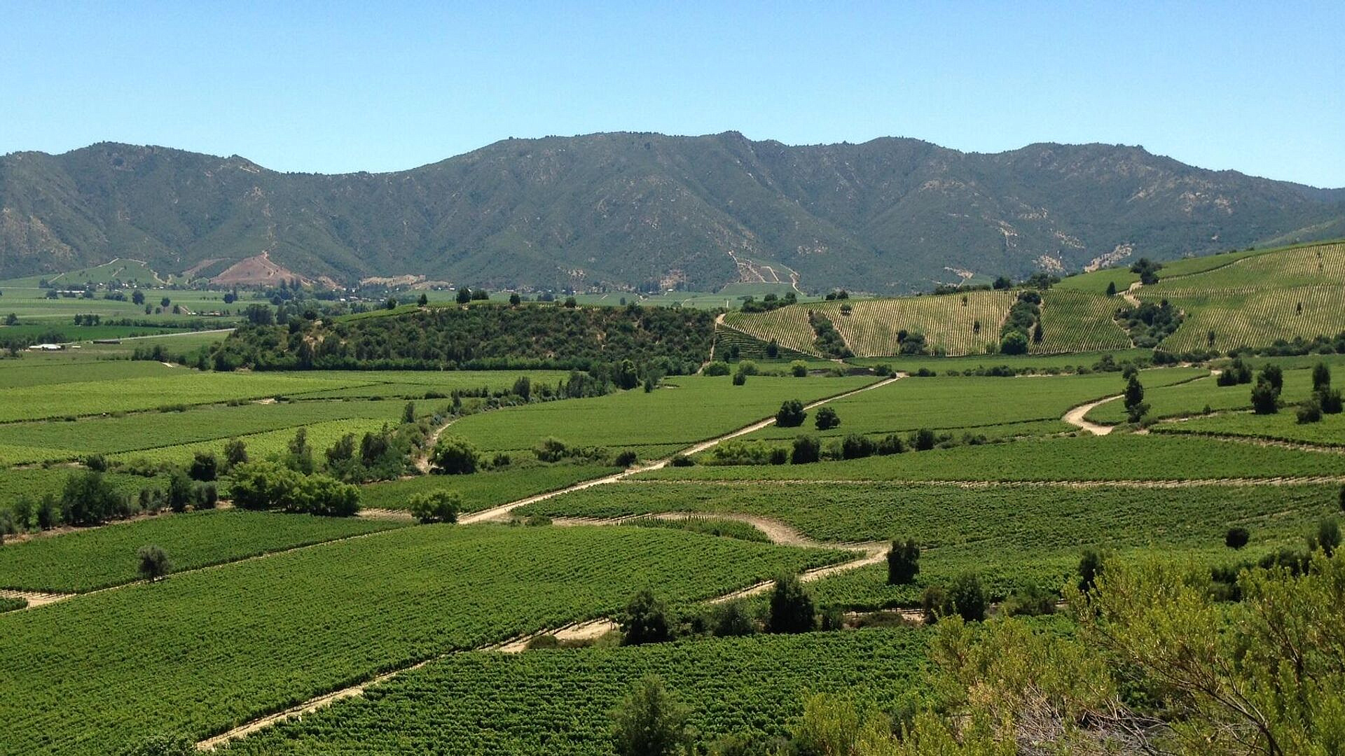 СМИ: россияне снова нарушили природоохранные законы Чили