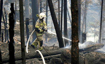 В России за прошедшие сутки лесопожарные службы потушили десятки пожаров