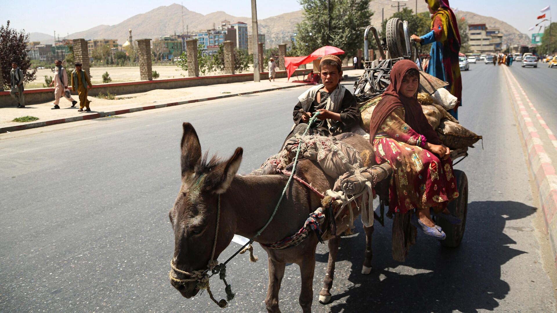 ����� ��������� "��������"* ������������� ������� ������ ������ �����������