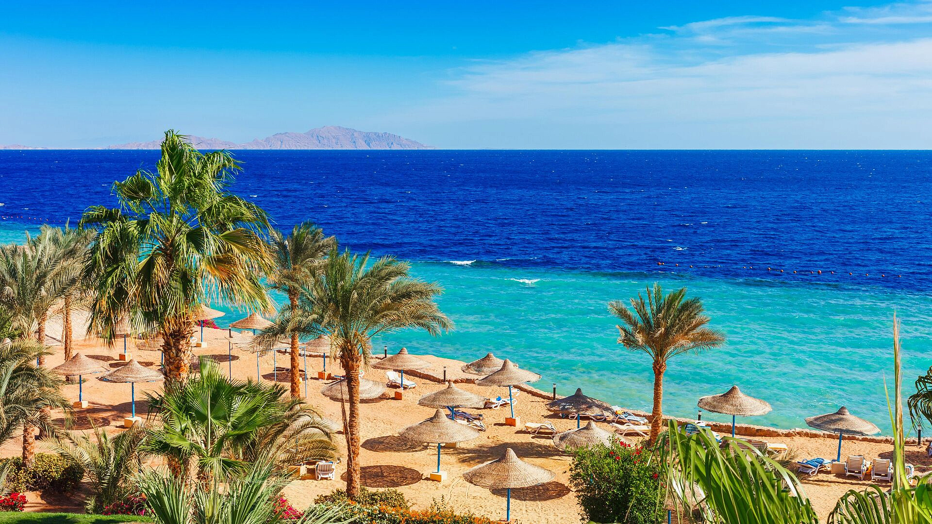 ���������� ������ ������� ������� ������ ��������� � ����-��-�����