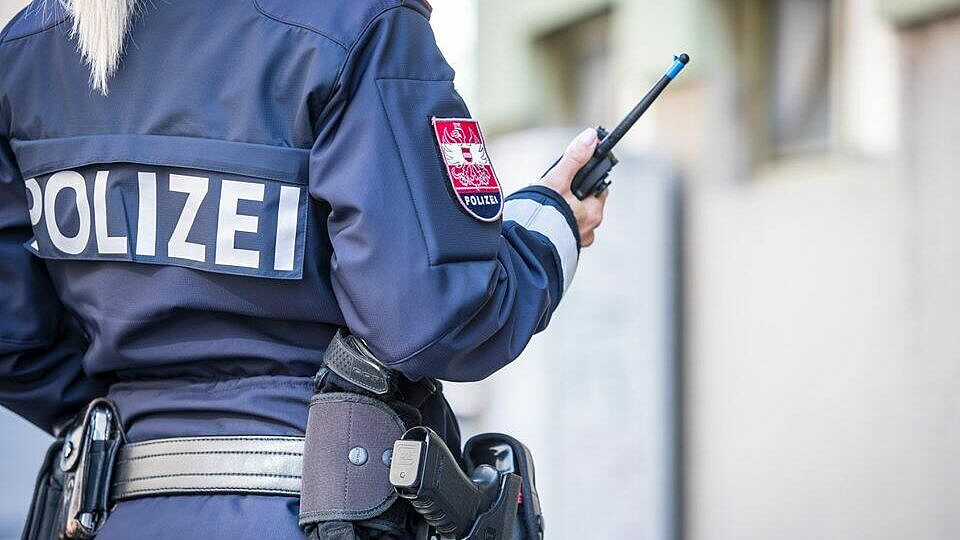 В Австрии выходец из Сирии ранил ножом подростка