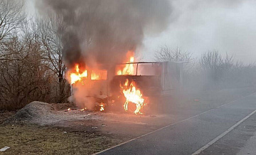В Белгородской области при атаках ВСУ за день пострадали 16 человек