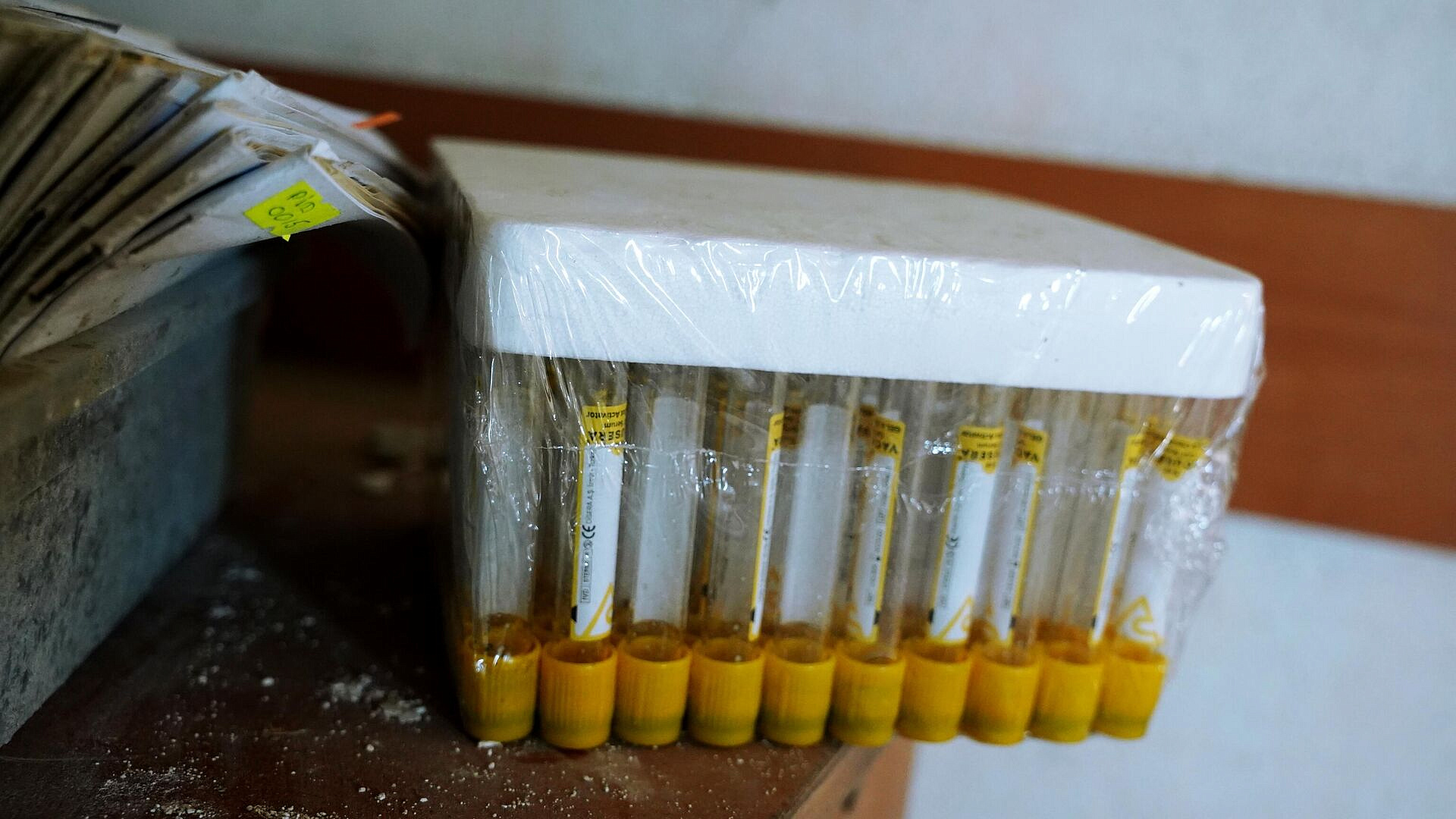 ��� ������ �������� � ������� � ������������� ����� ��������� �������������