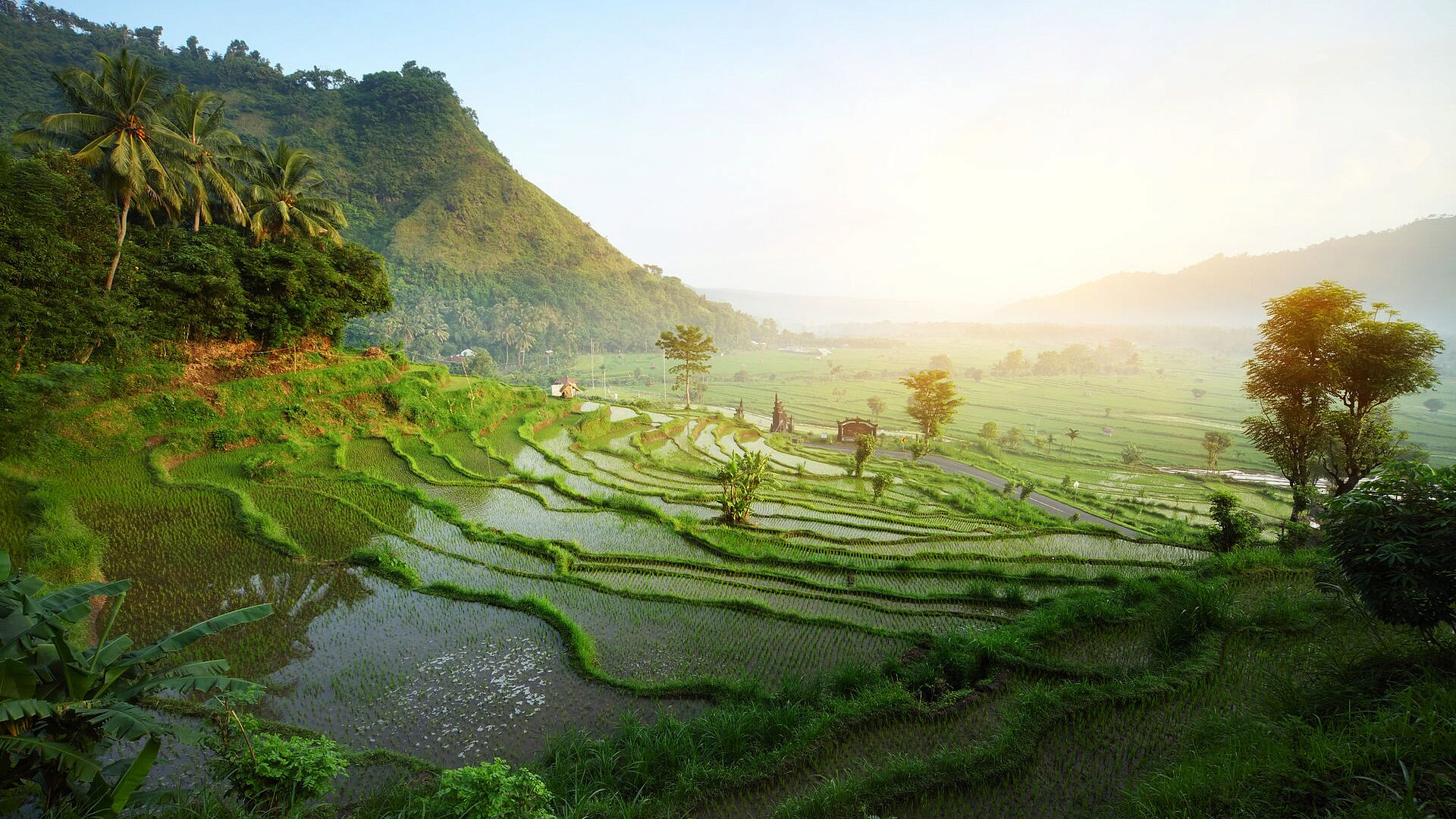 Губернатор Бали благодарен России за рост туризма на острове