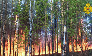 В Якутии площадь лесных пожаров превысила 550 тысяч гектаров
