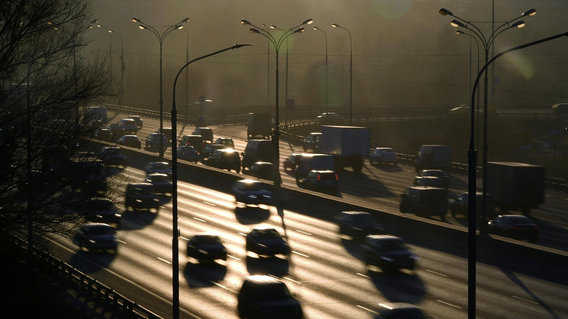 � ������ ������������ �������� �� ���������� ������� ���� ����� ������