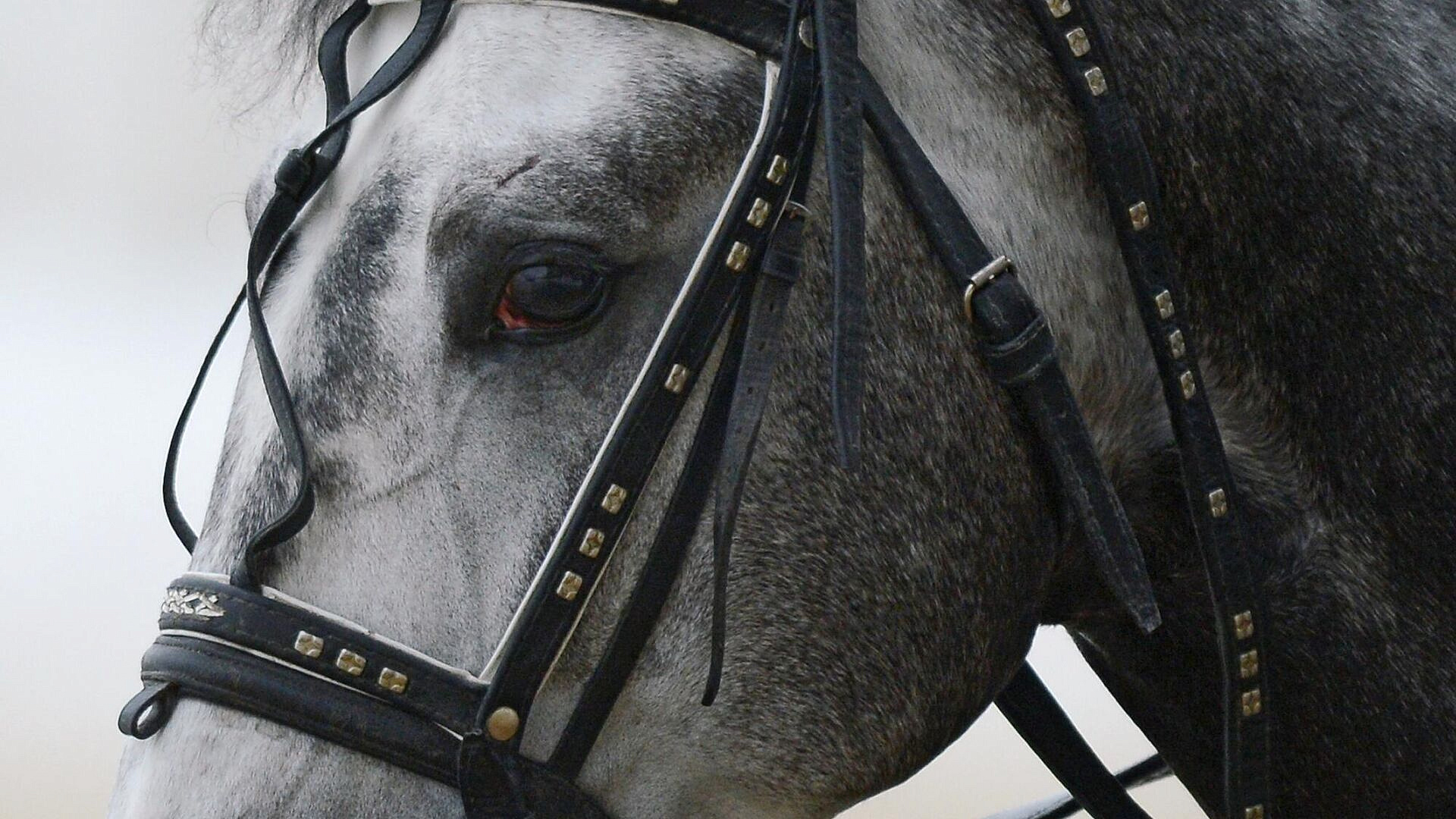 ������ ������� ��������� ������� ���������� ���� �� 5 ���� ������ ����