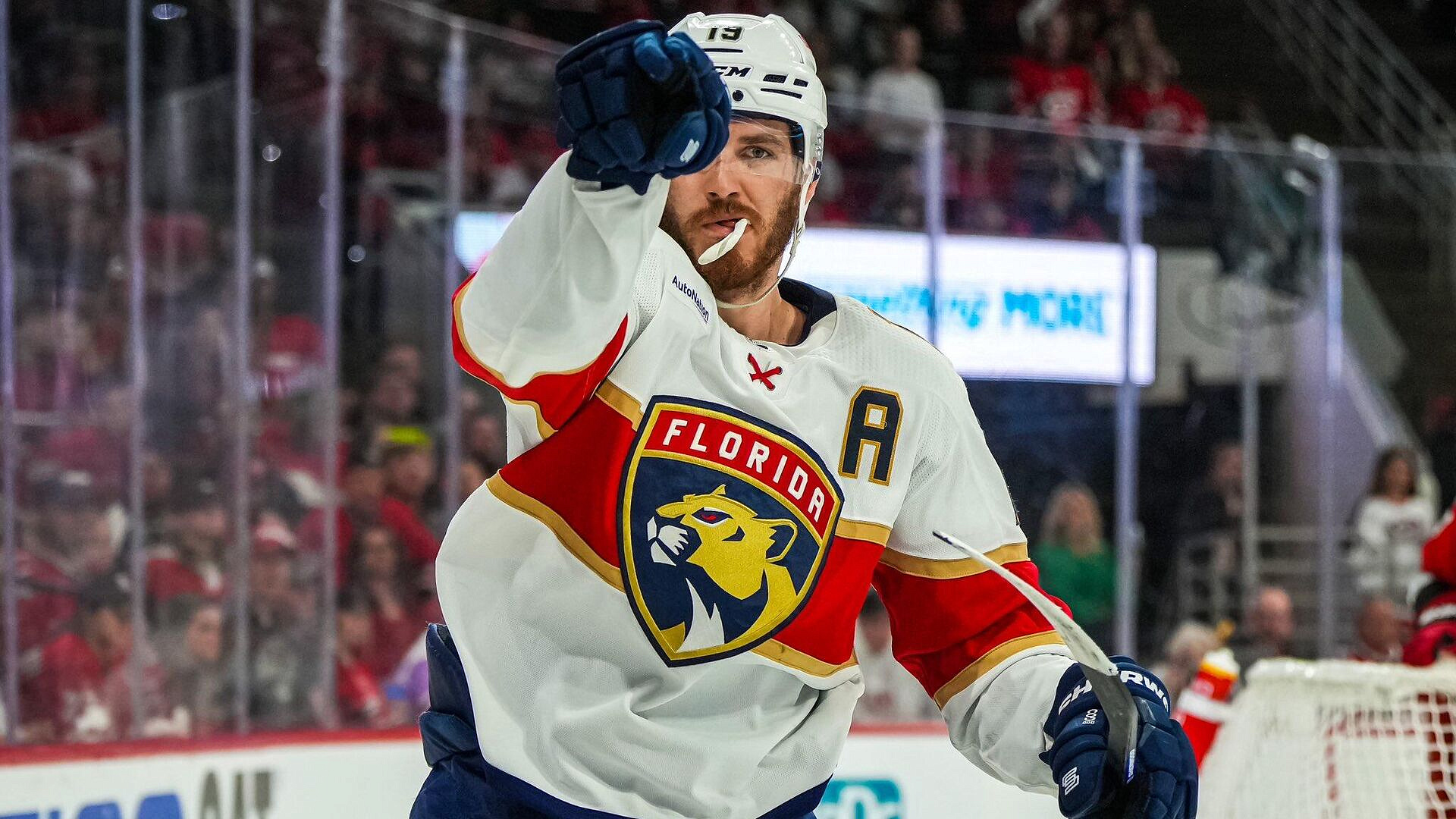 ������ �������� � ������ "�������" ����� ������