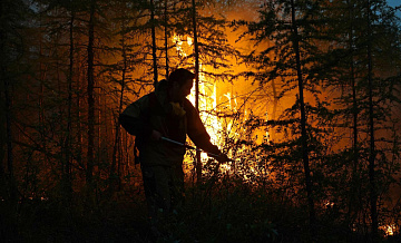 В России за сутки потушили 61 лесной пожар