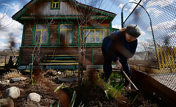 Инфекционист назвала главную опасность для дачников весной