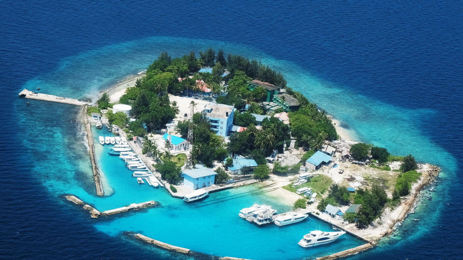 ��������� ����������, ������� ����� ����� �� ���������