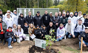 АНО "Древо жизни" высадила деревья в трех областях 