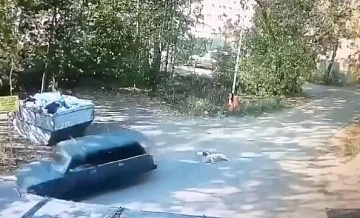 В Подмосковье задержали водителя, который привязывал собак к машине