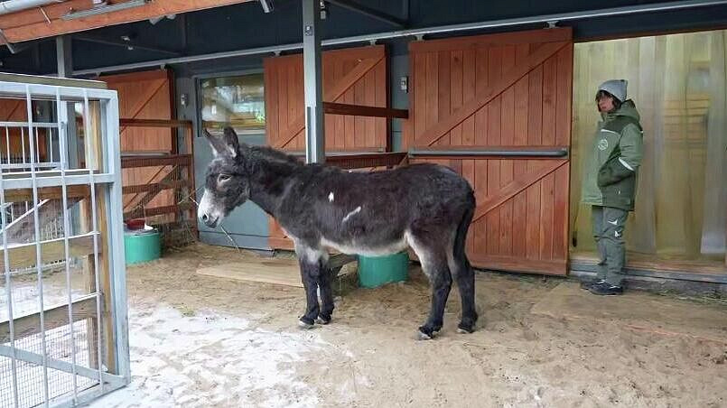 � �������� ������ ���������� � ��������� ������, ��������� ������� �� ���