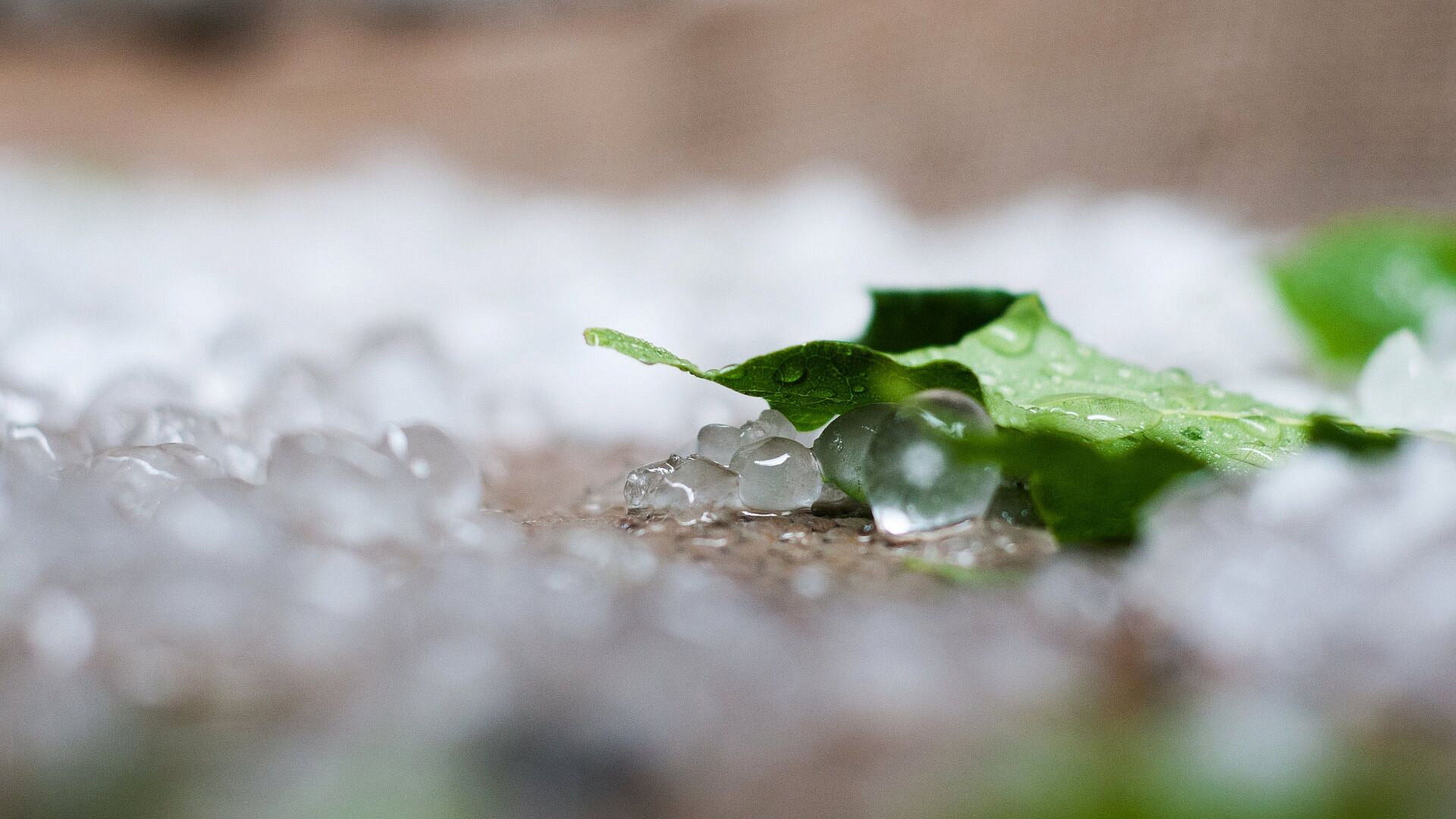 �� ��� ����� ����� ���� ��������� ����� ���� �����������